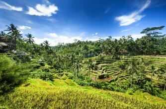 Гостиница Le Méridien Bali Jimbaran в Джимбаране