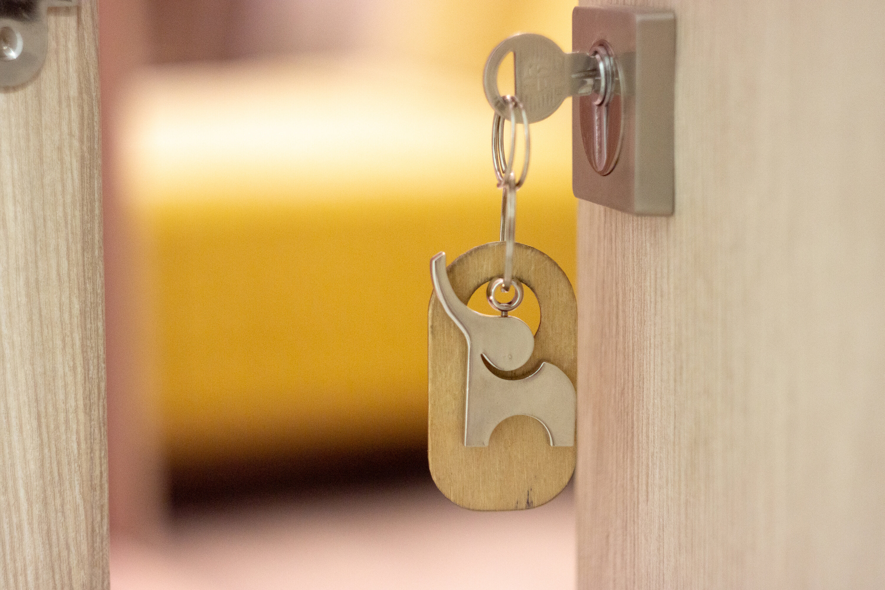 Фото 7 Слонов