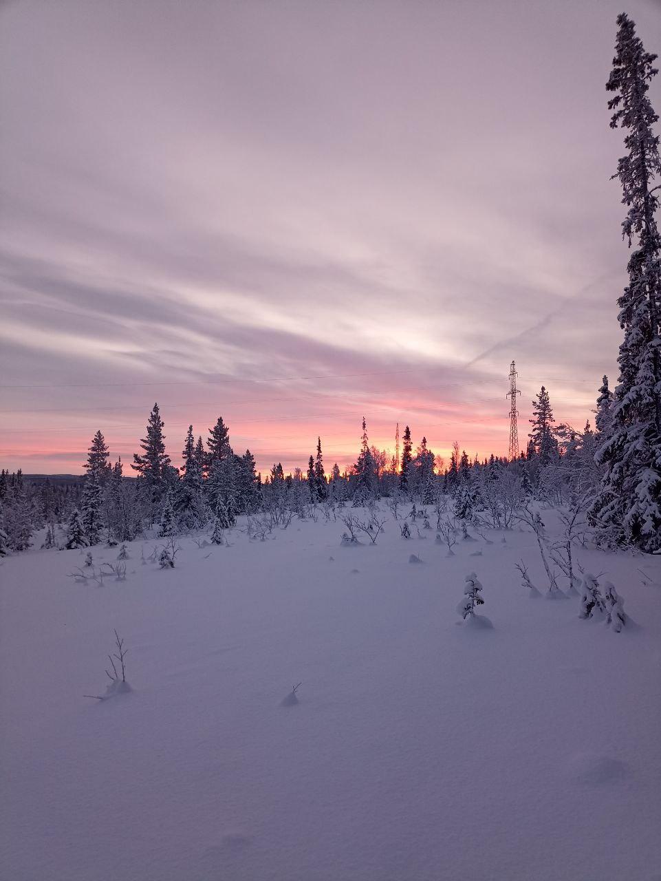 Фото Хаски Кэмп