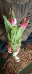 Цветы (rabochiy posyolok Bazarny Karabulak, ulitsa Lenina, 111), flower shop