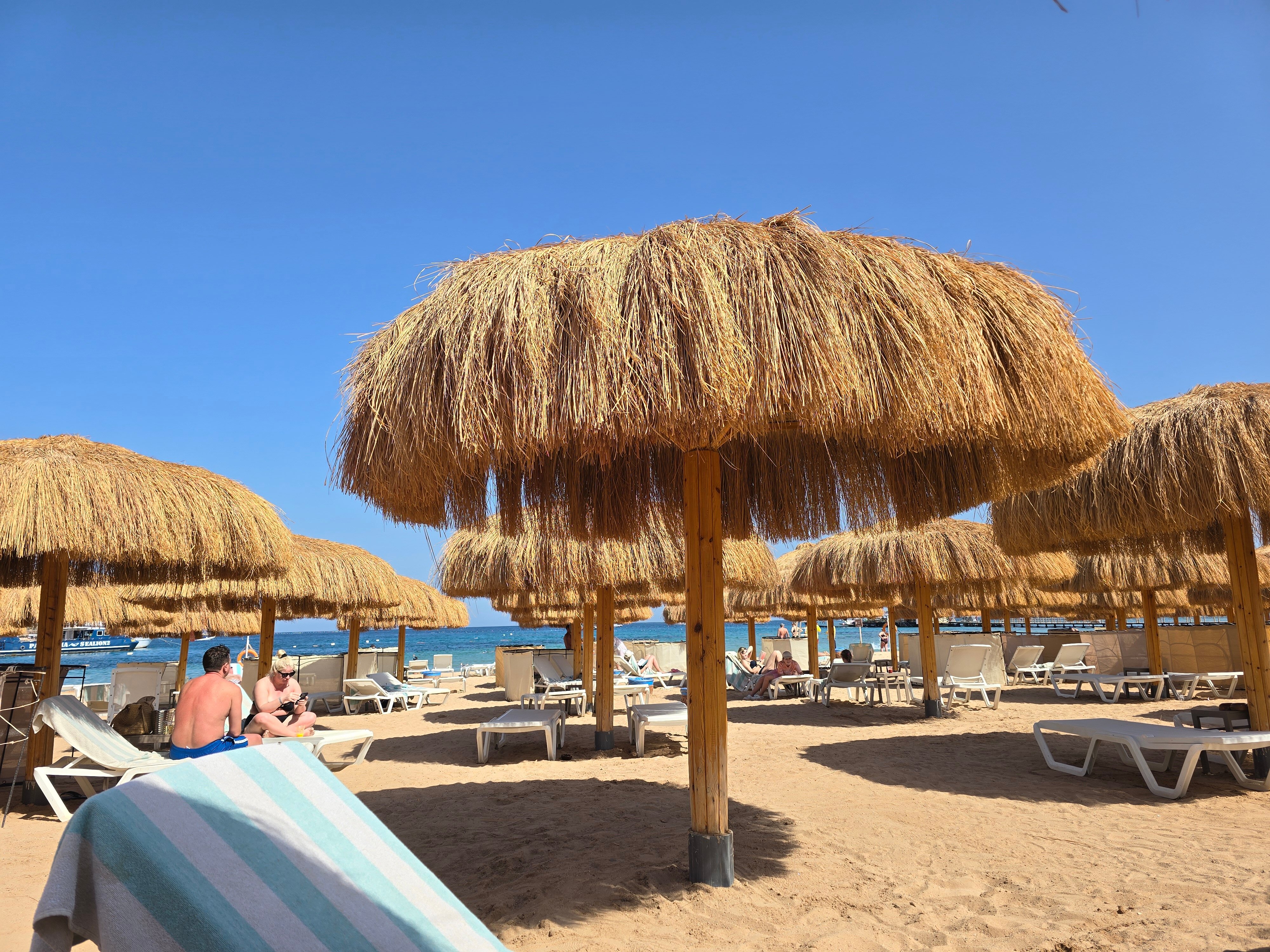 Фото 43410495811