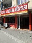 Chicken & Grill World (Izmir, Karabaglar, Eskiizmir Avenue, 300), fast food