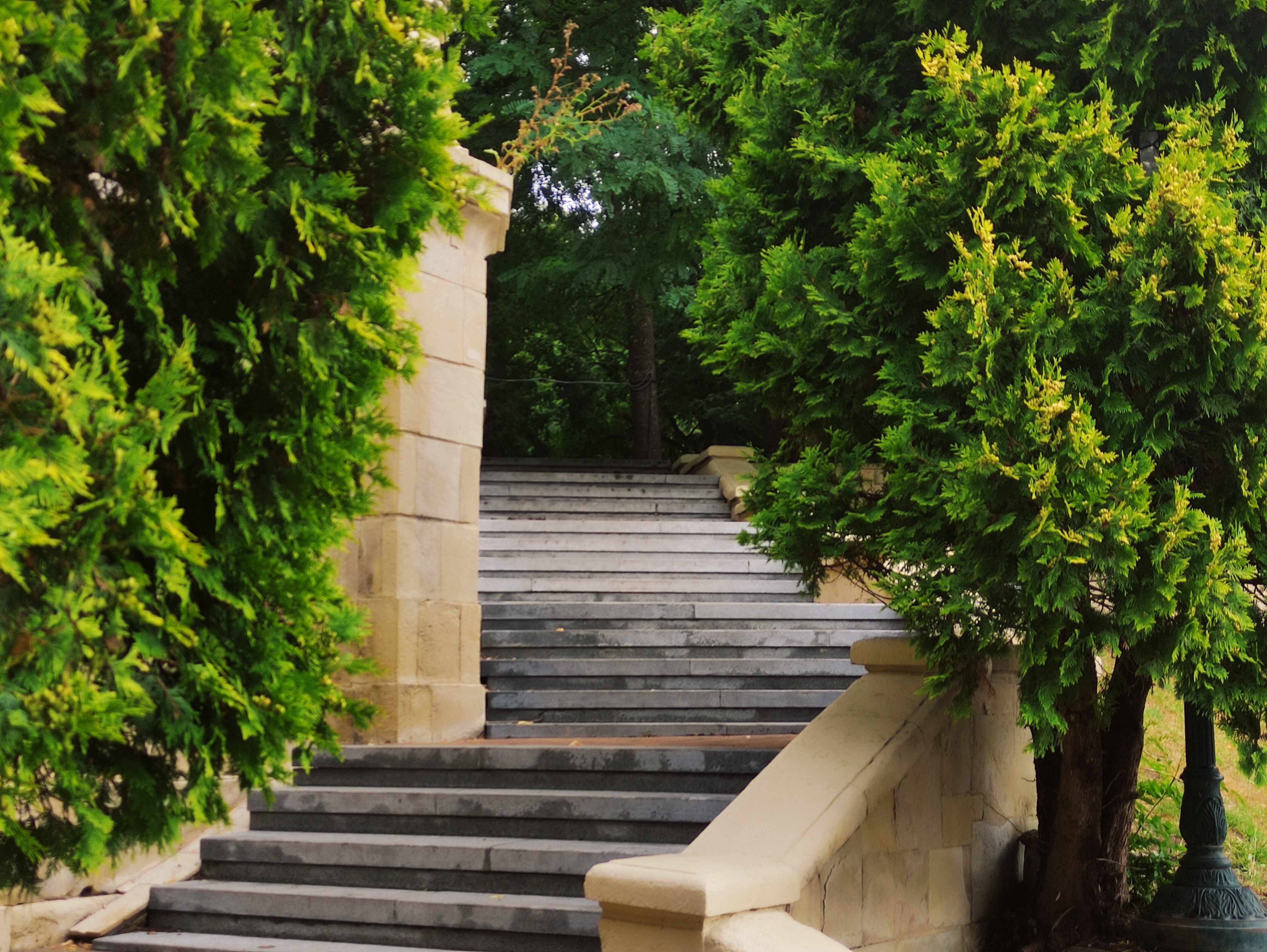 Фото Plaza Essentuki