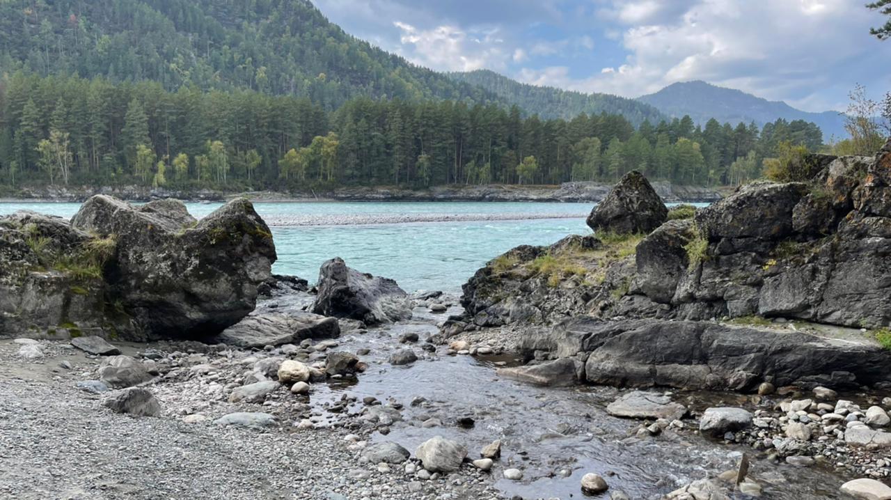 Фото Усадьба Горный Алтай
