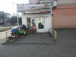 Solnyshko (Nizhniy Novgorod, Avtozavodskiy City District, zhiloy rayon Sotsgorod, 1st Sotsgorod Microdistrict, Oktyabrya Avenue, 17), greengrocery