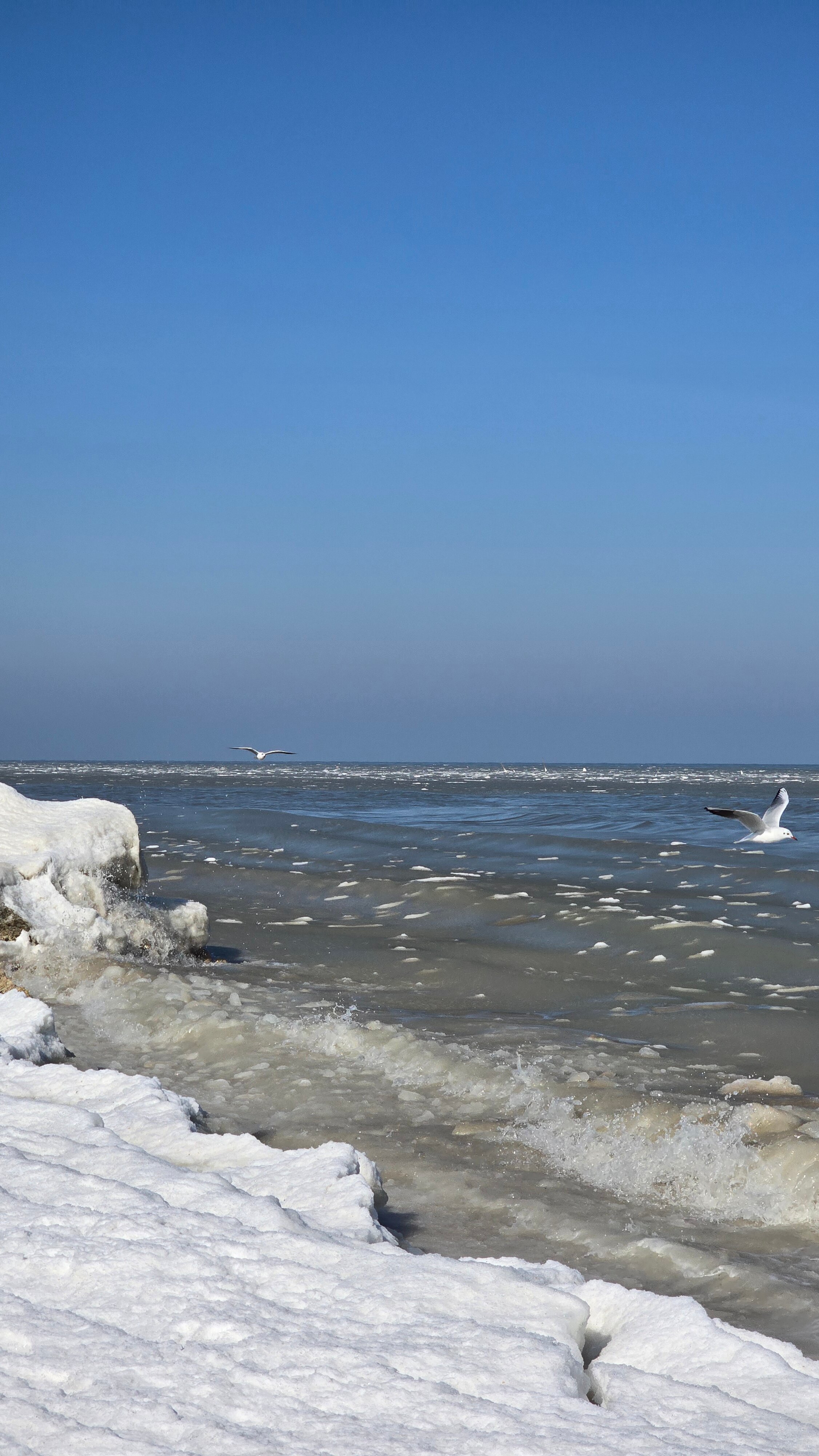 Фото 7 морей