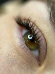 Kaznacheeva _lash (Zhukovskogo Street, 38), salón de cejas y pestañas