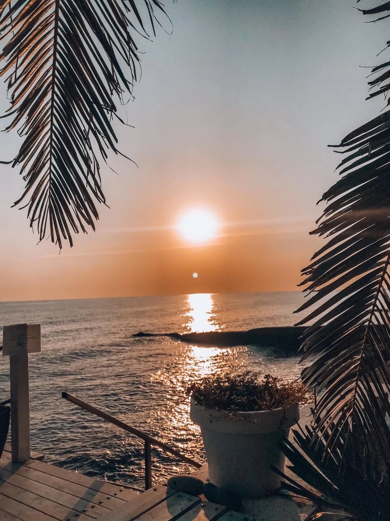 Фото Константа