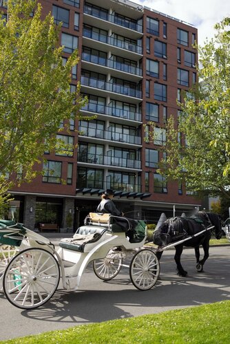 Внешний вид отеля The Oswego Hotel в Виктории, фото 5