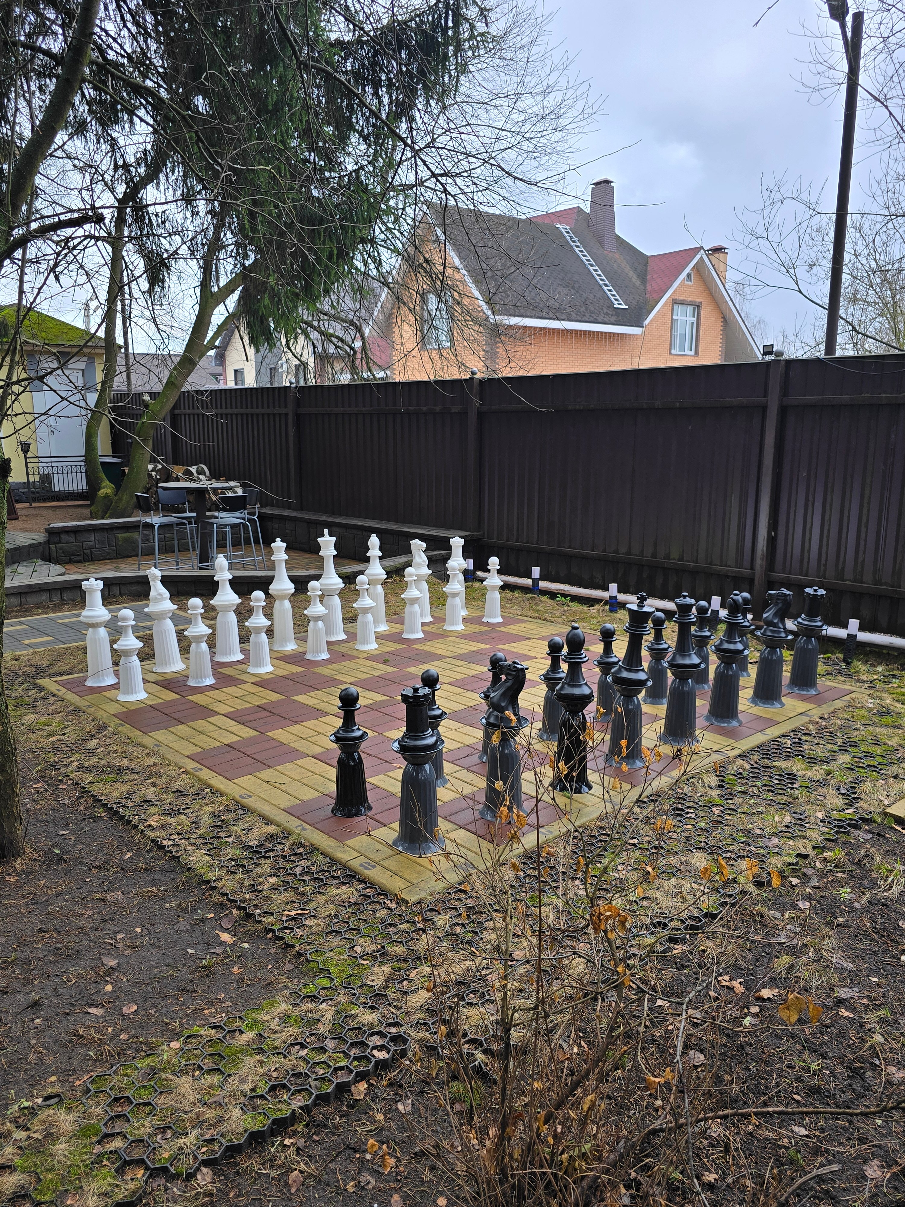 Фото Зеленый пейзаж