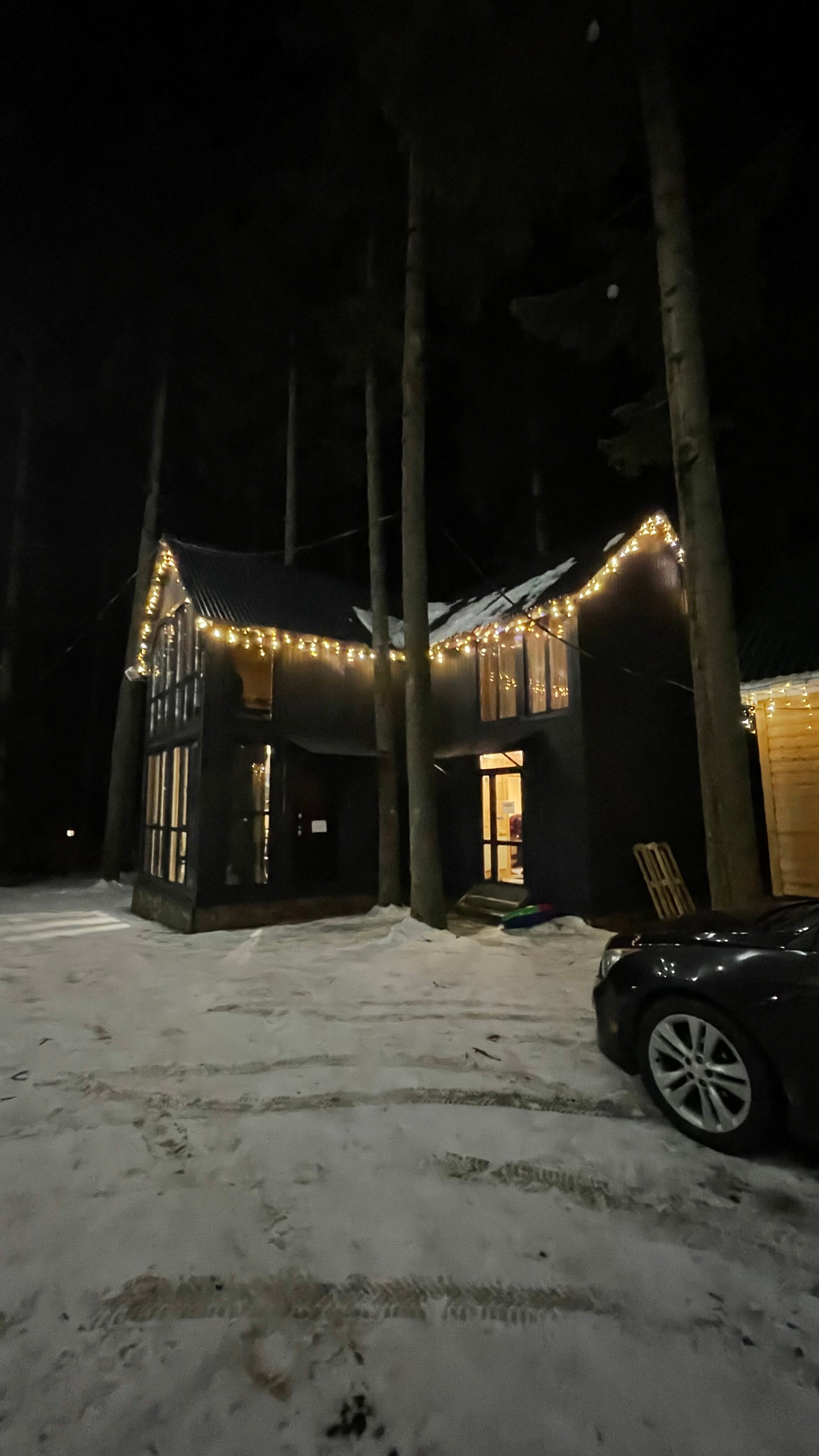 Фото Пихтовый парк