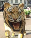 Full Tiger (Novodanilovsky Drive, 4), restaurant