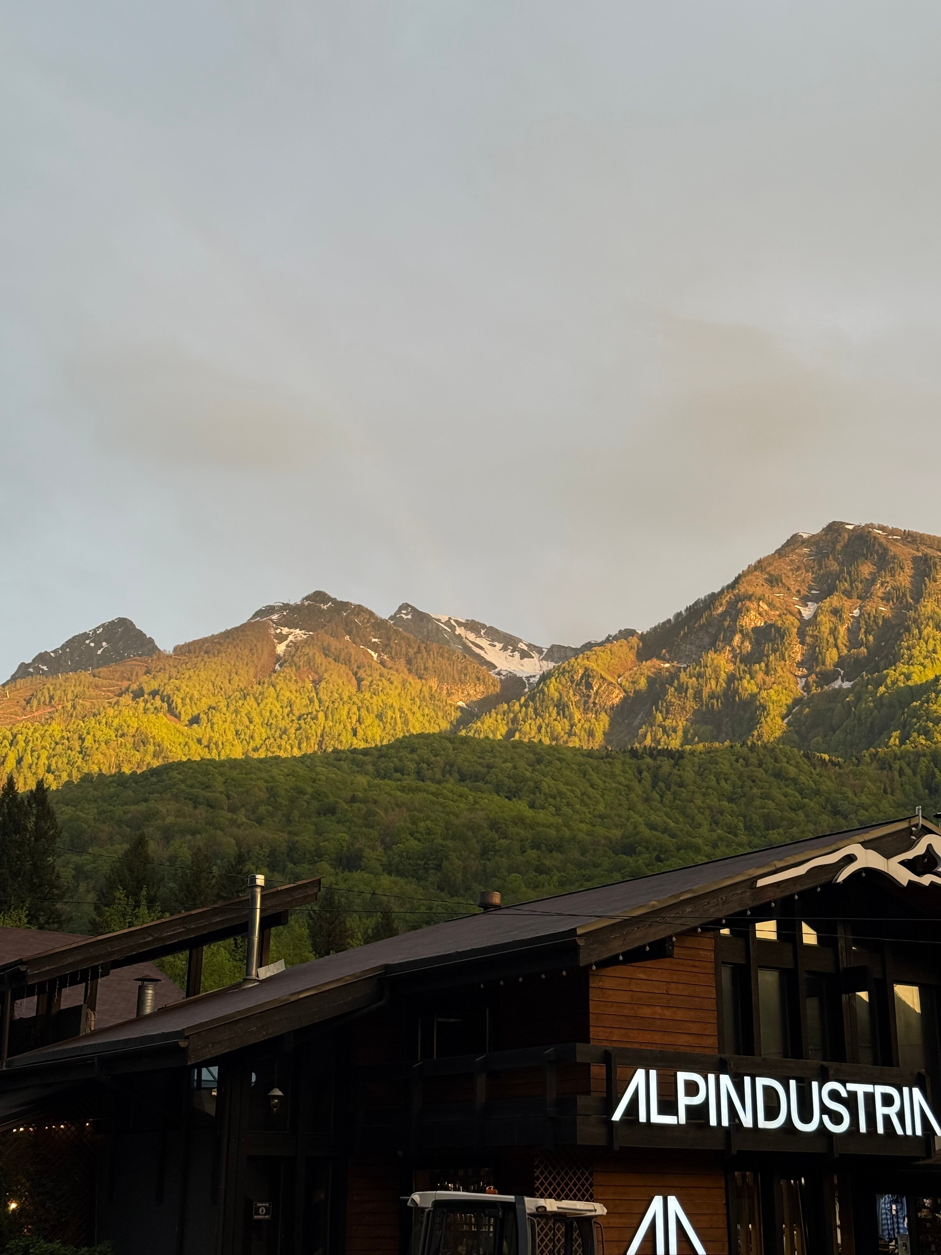 Фото Зайки в домике