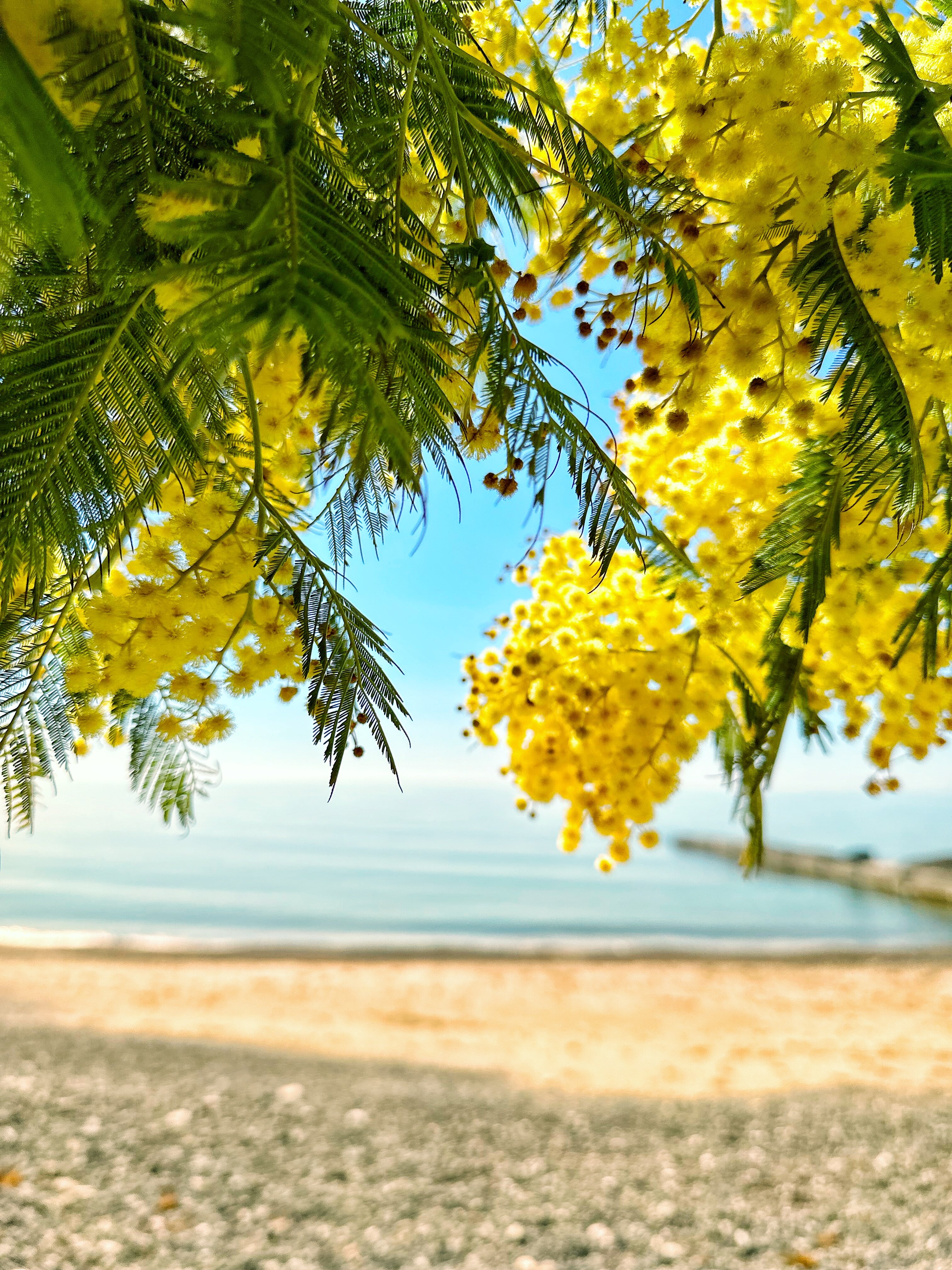 Фото Набережная Виктория