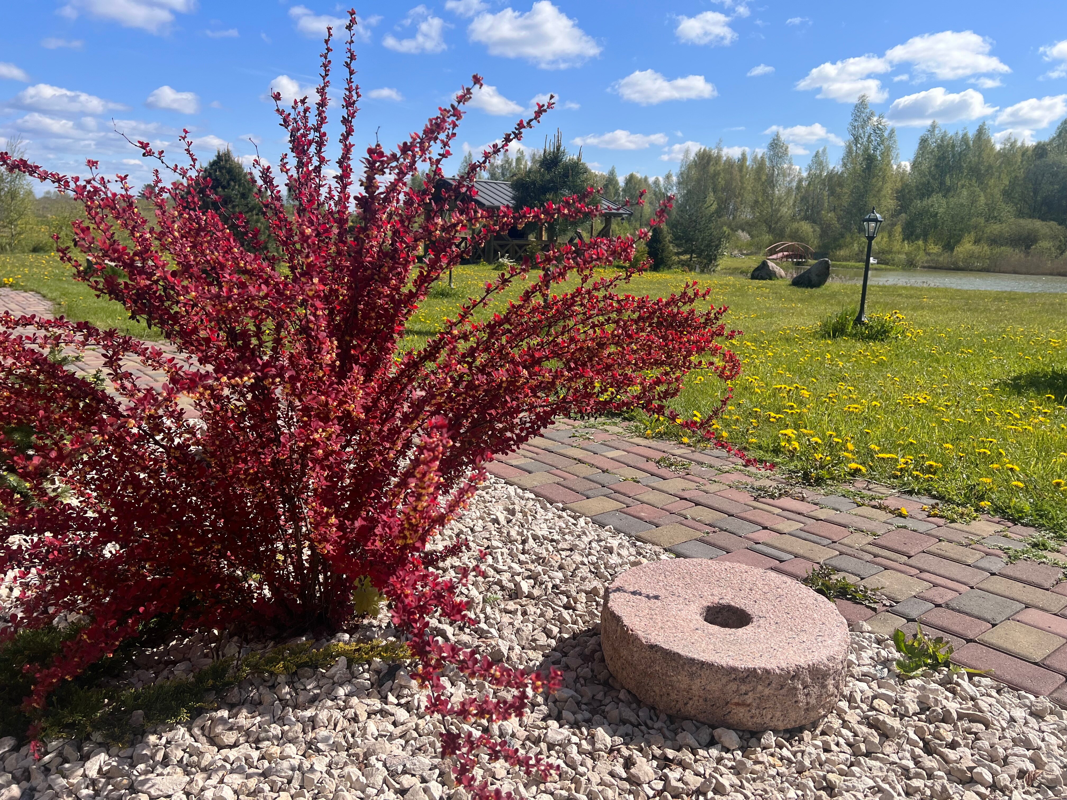 Фото У Лукоморья