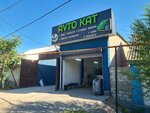 Avtokat (Jeltoqsan kóshesi, 184), car service, auto repair