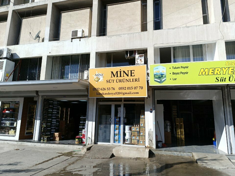 Dairy products shop Mine Dairy Products, Izmir, photo