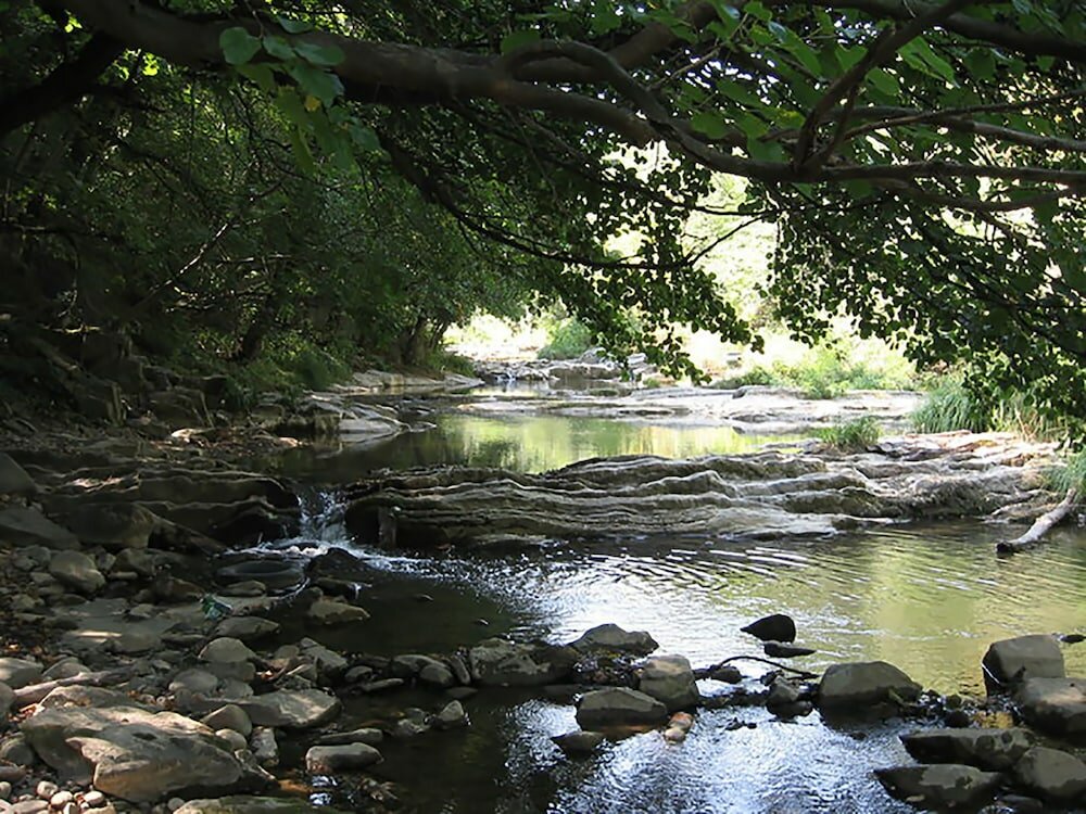 Фото Villa Kalin