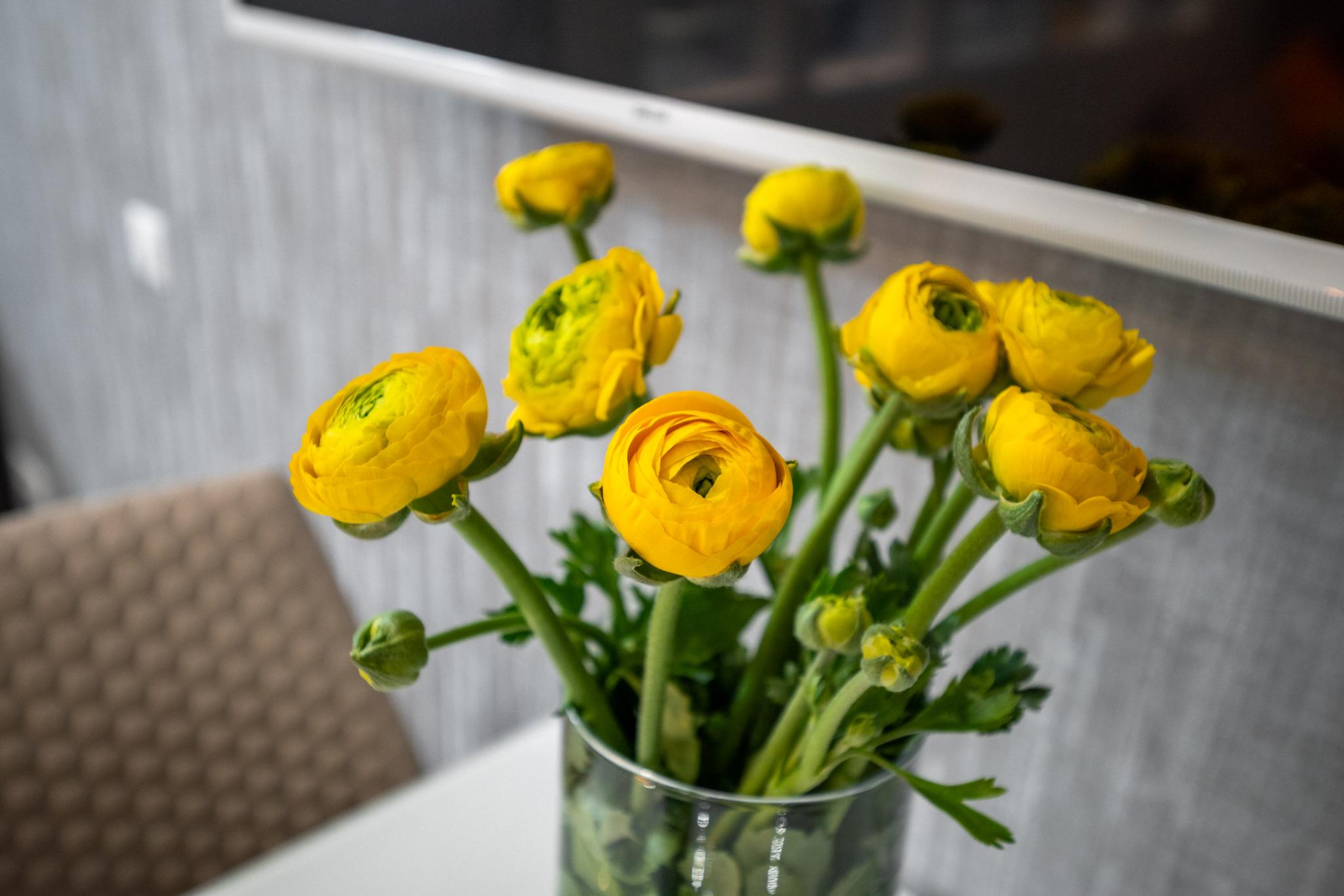 Фото Добрый