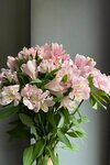 Мик's цветов (rabochiy posyolok Listvyanka, ulitsa Gorkogo, 6), flower shop