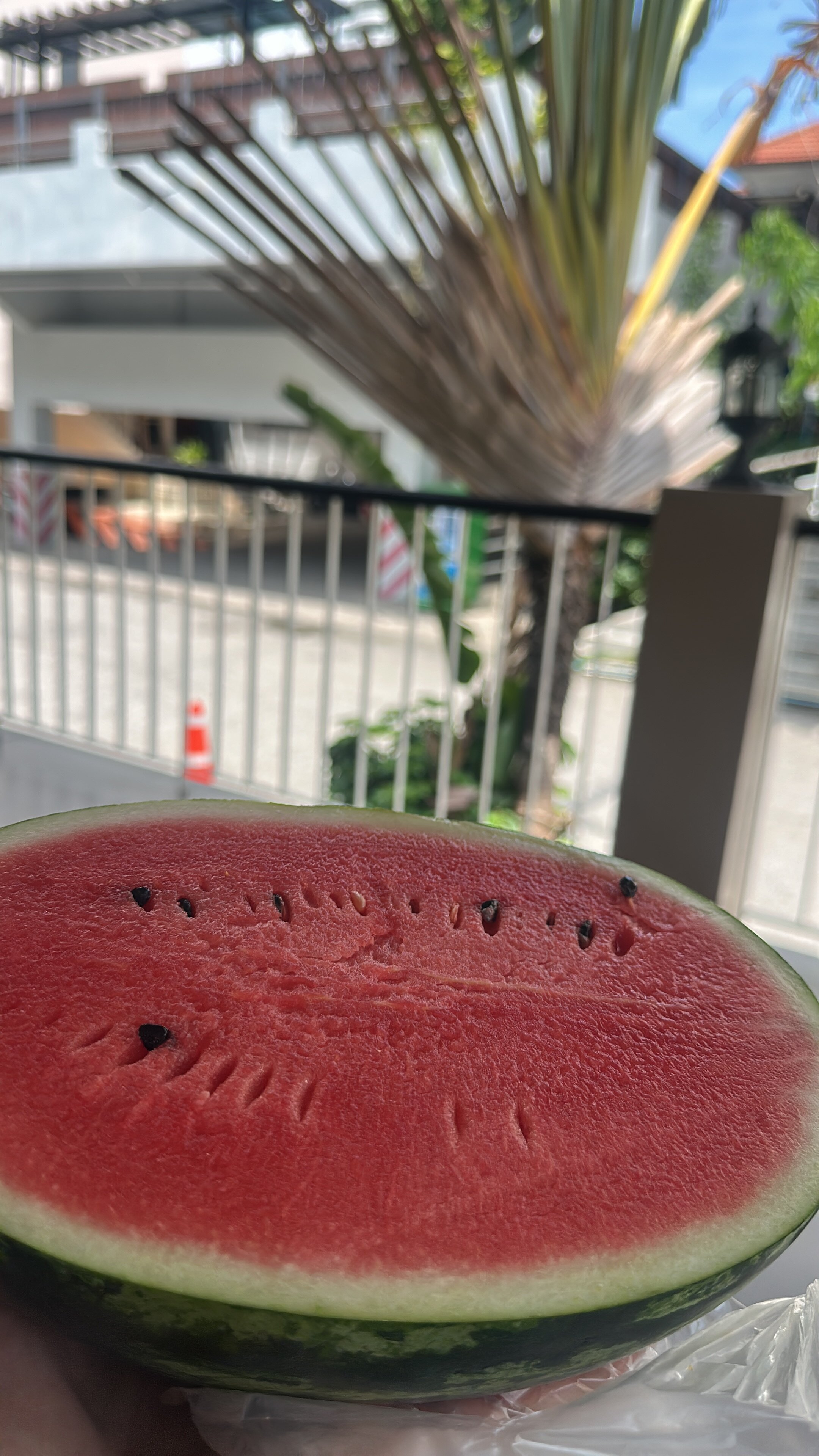 Фото Jomtien Plaza Residence