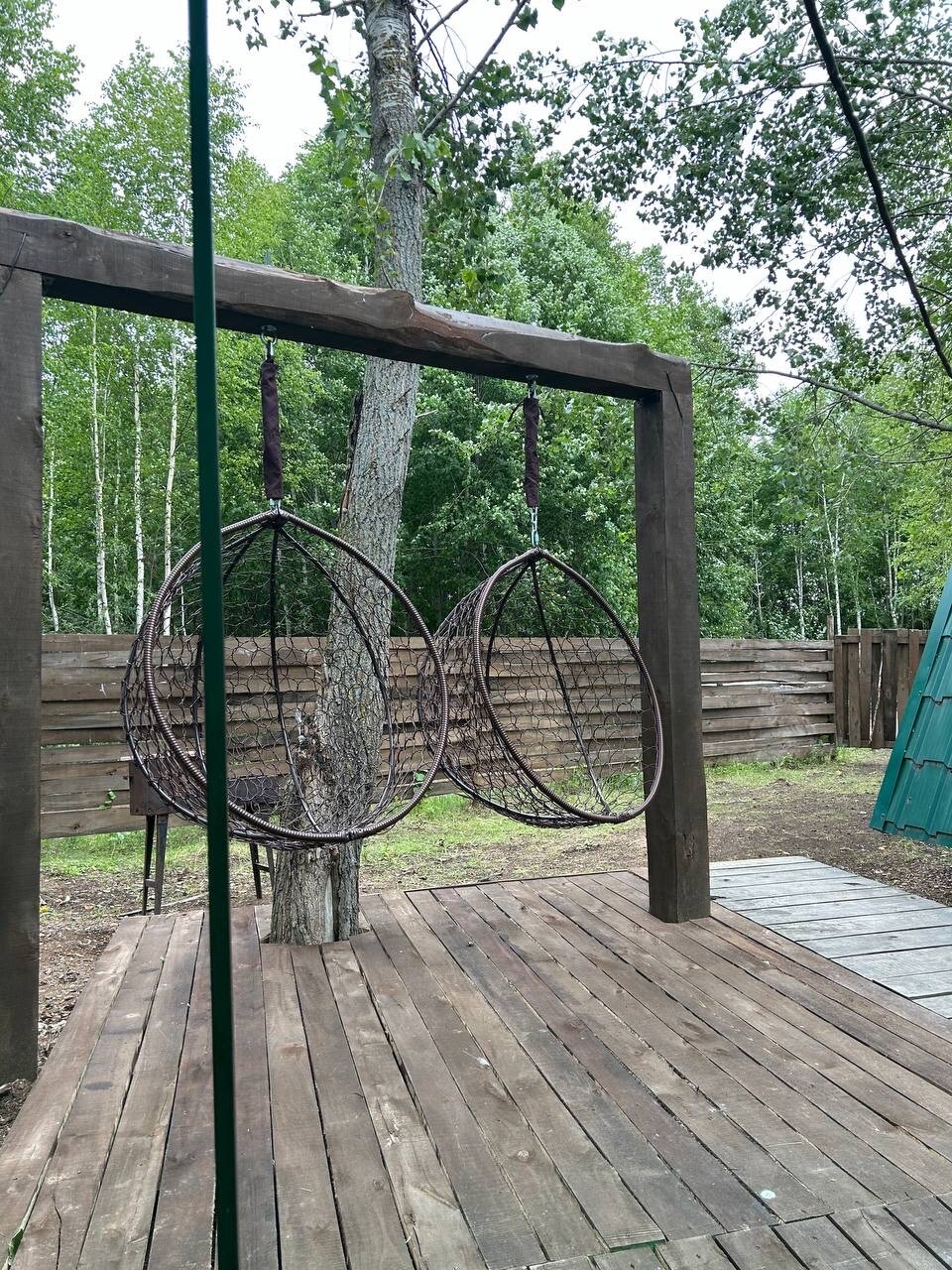 Фото Облепиха