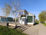 Цветочная лавка (rabochiy posyolok Prokhorovka, Sovetskaya Street, 206) ، محل زهور