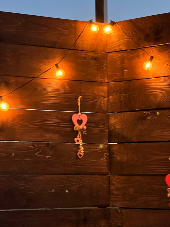 Фото Жар-Птица