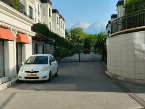 Тұяқты ашулардың порно суреттері