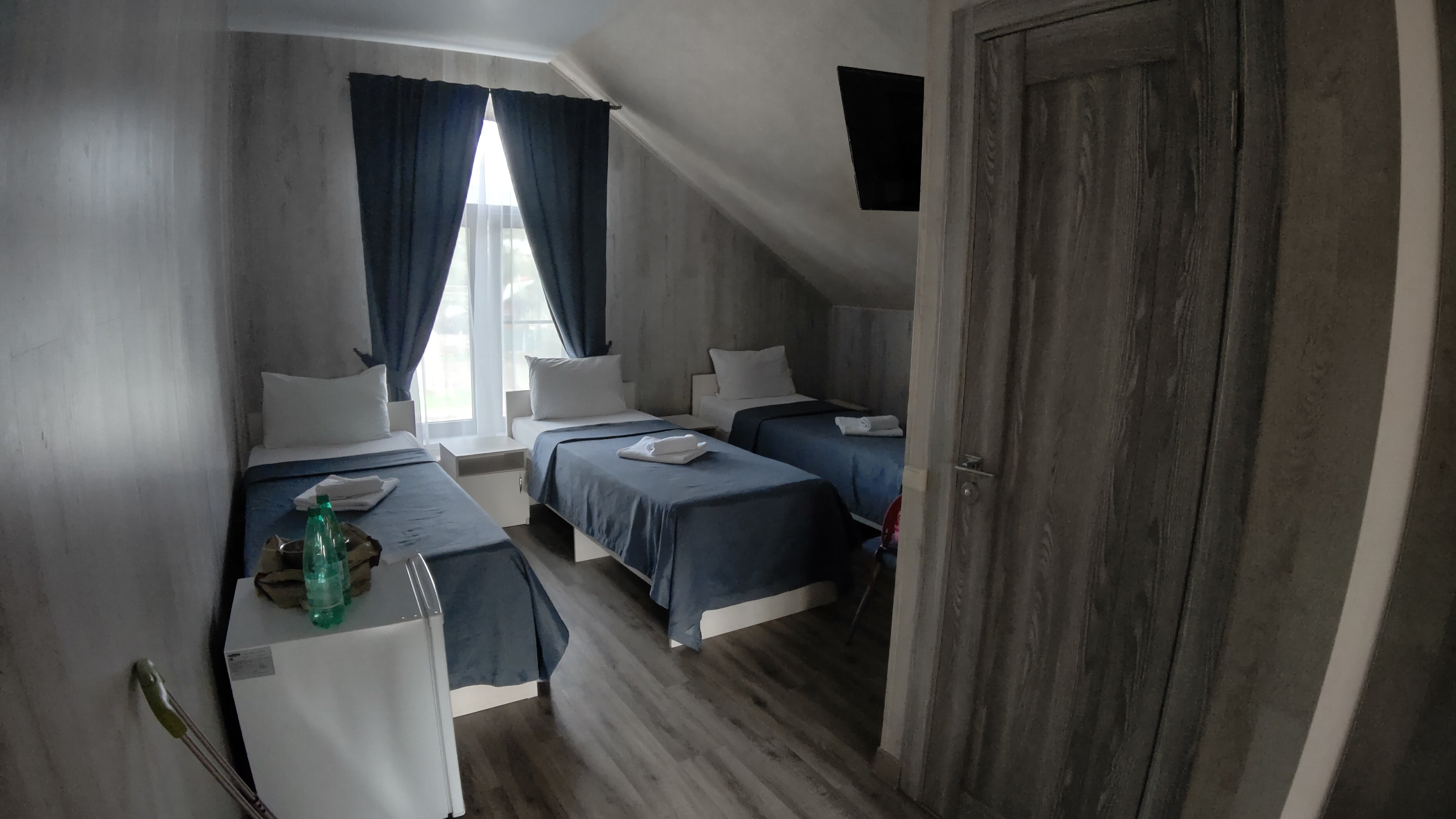 Фото Клевер