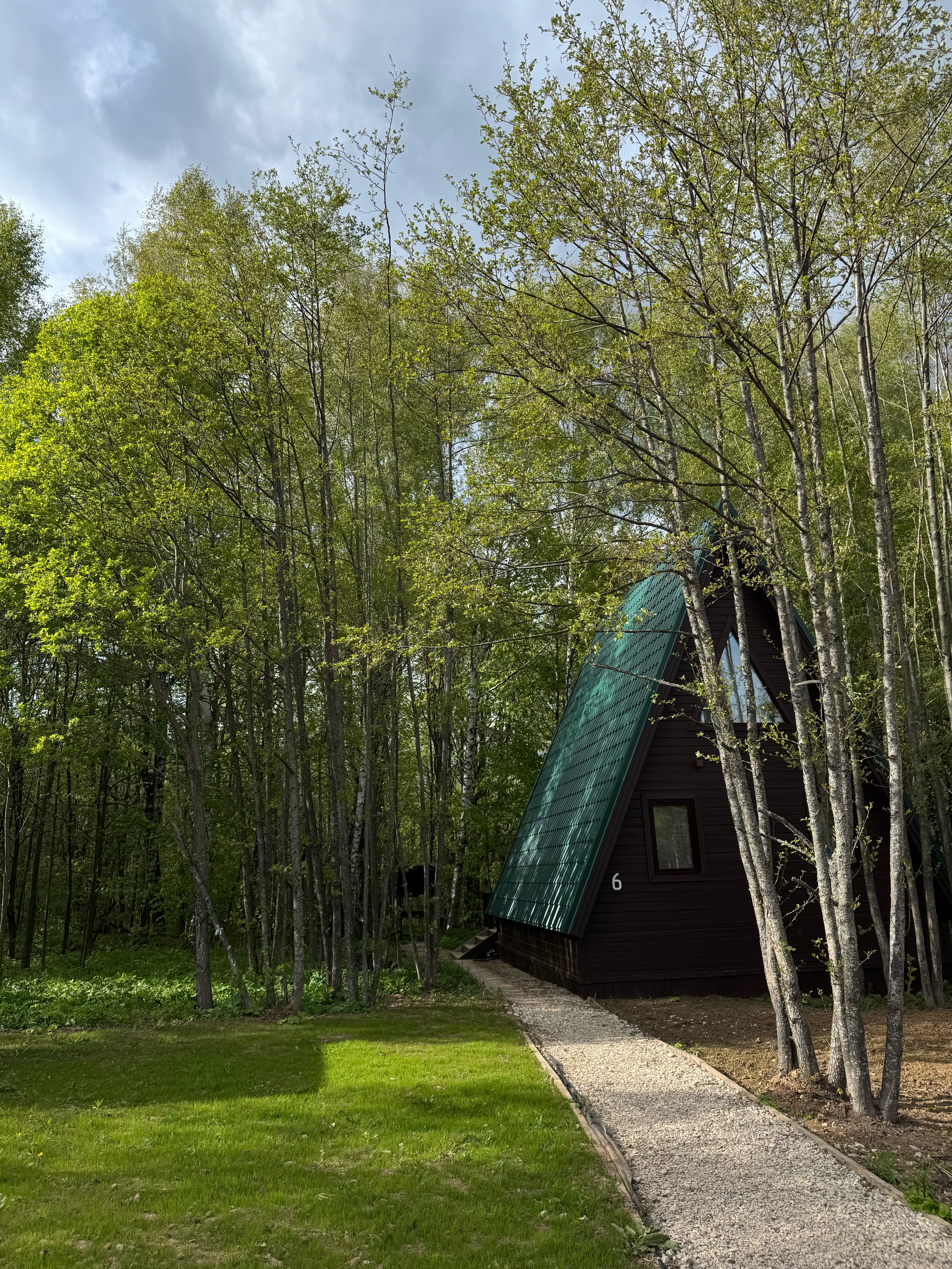 Фото Тишь да Лес