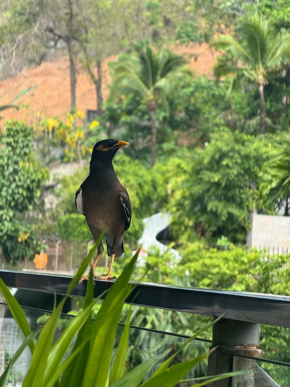 Фото Sunsuri Phuket