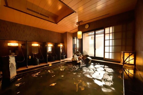 Гостиница Dormy Inn Tomakomai Natural Hot Spring в Томакомае
