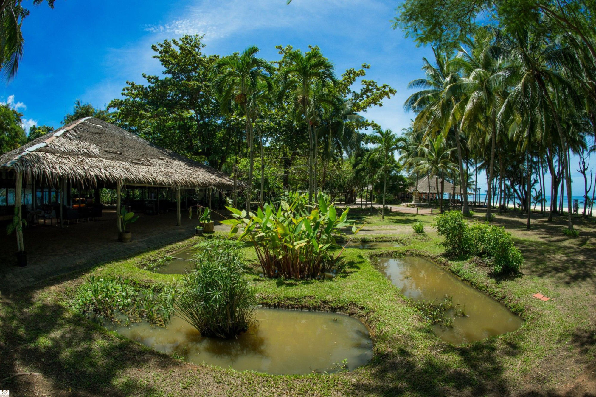 Фото Chumphon Cabana Resort