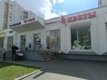 Фейерверки (Novoperedelkinskaya Street, 13А), fireworks and pyrotechnics