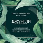 Джунгли (Kooperativnaya Street, 17), flower shop