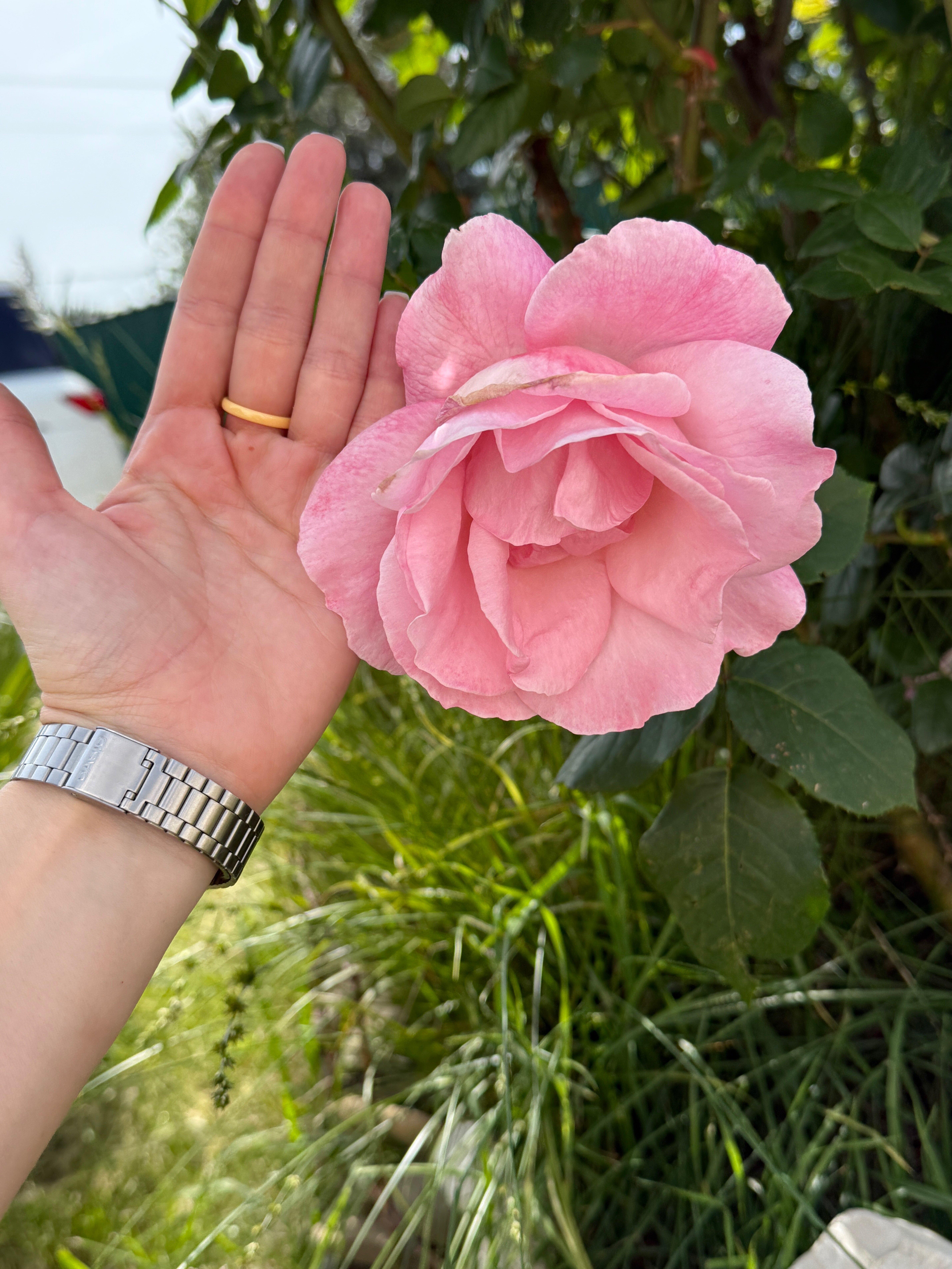 Фото Релакс