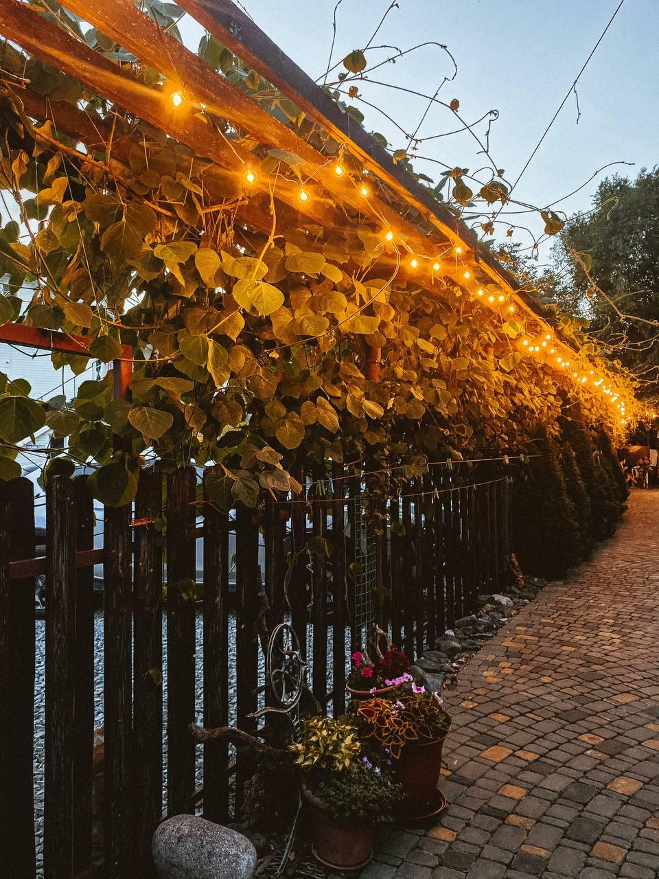 Фото У Антонины