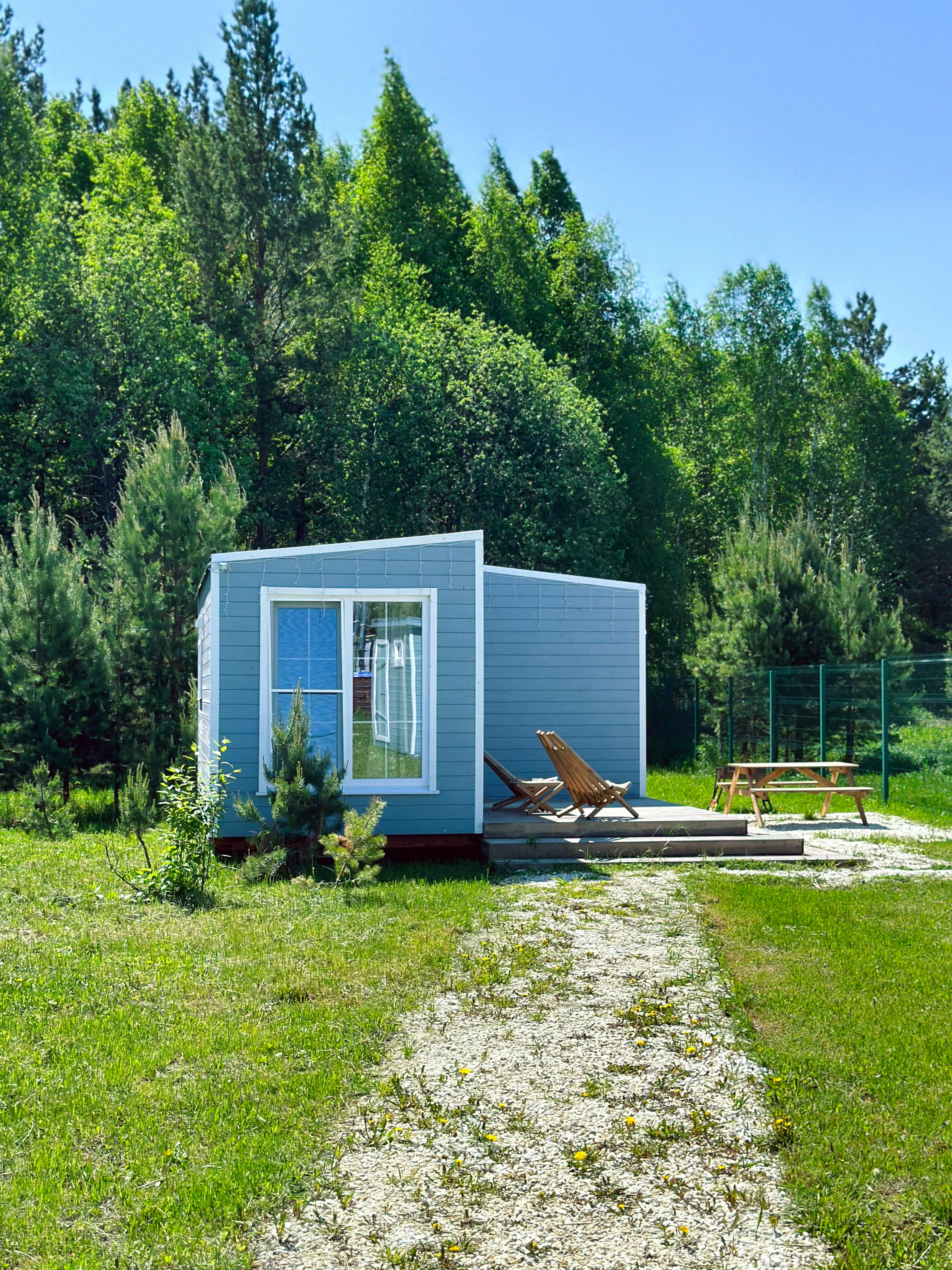 Фото Forest time