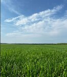 Gazon (Moscow Region, Kolomna Urban District, derevnya Nastasyino), landscape design