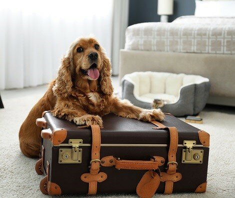 Фото Modom Village