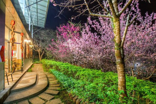Гостиница He Ya Leisure Land B&b