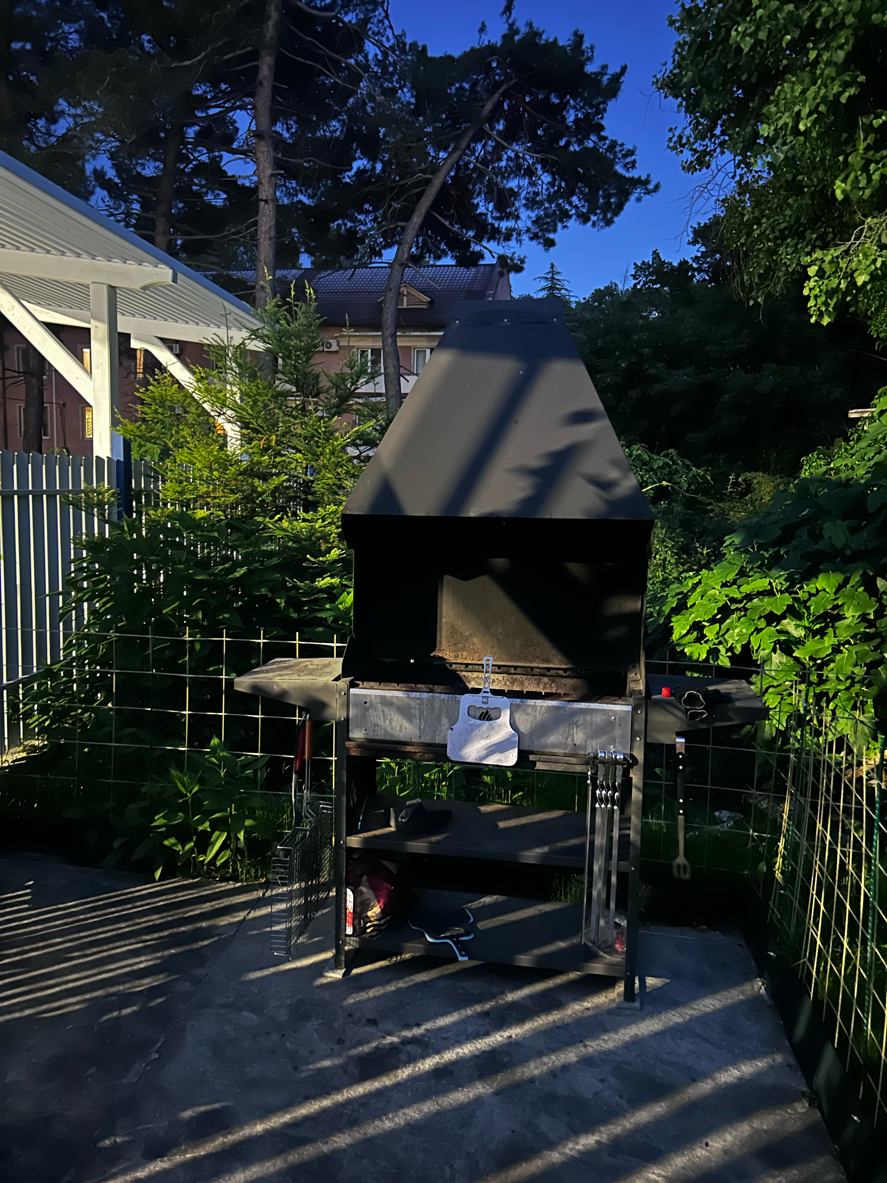 Фото Алиса, привет!