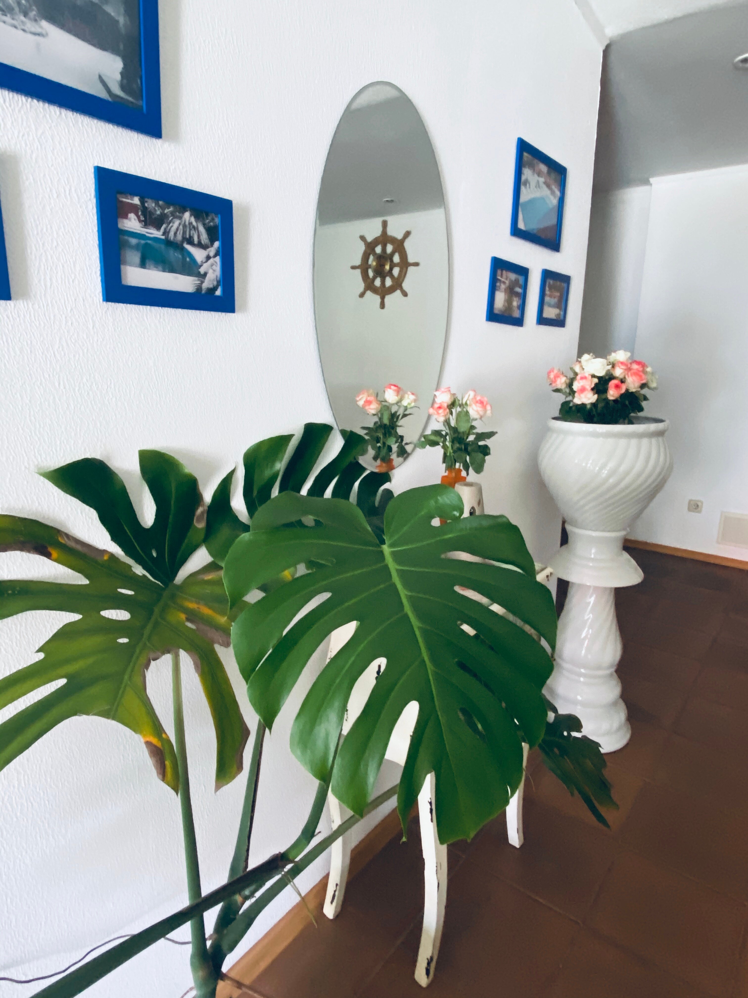 Фото У Моря