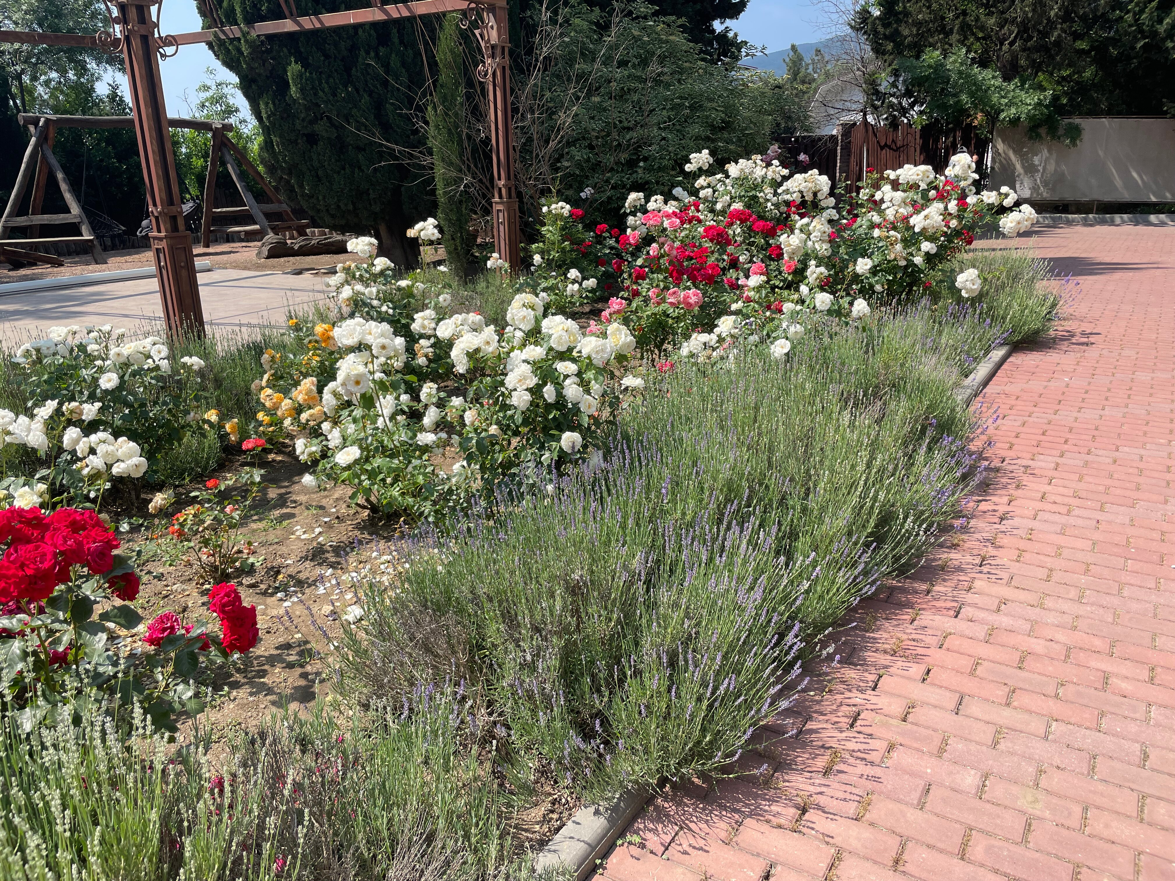 Фото Аквани