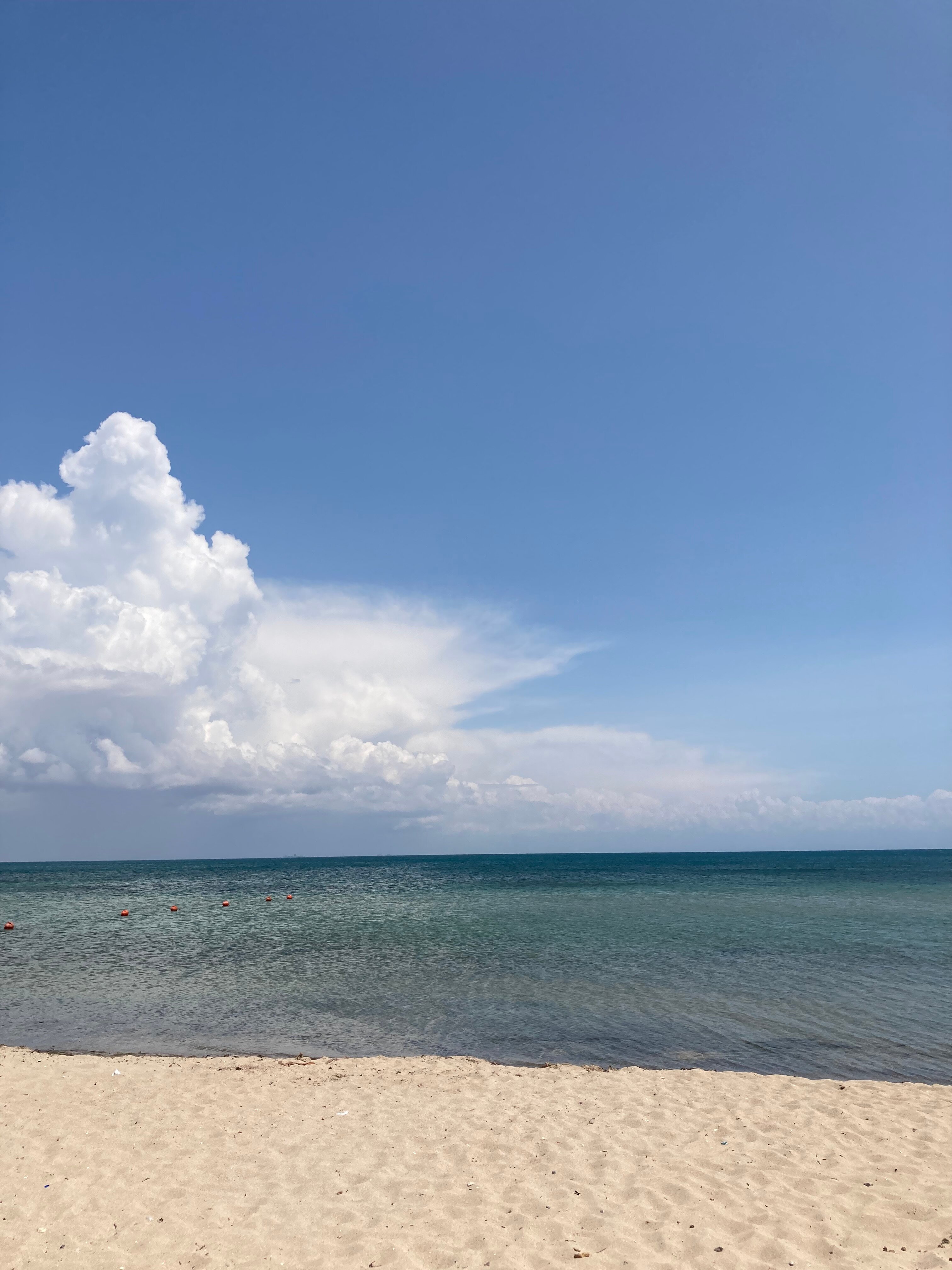 Фото Ситерра