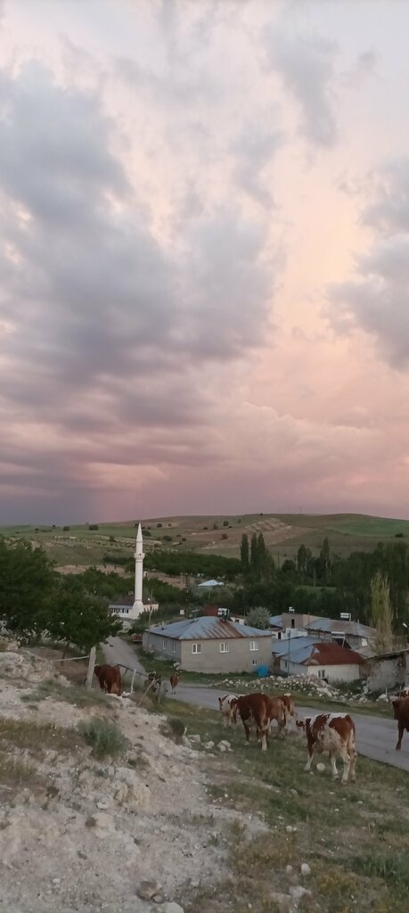 Mosque Eskihamal Village Ayranca Mezra Mosque, Gurun, photo