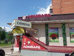 Sanis (ulitsa Generala Knysha, 6), casa de empeño