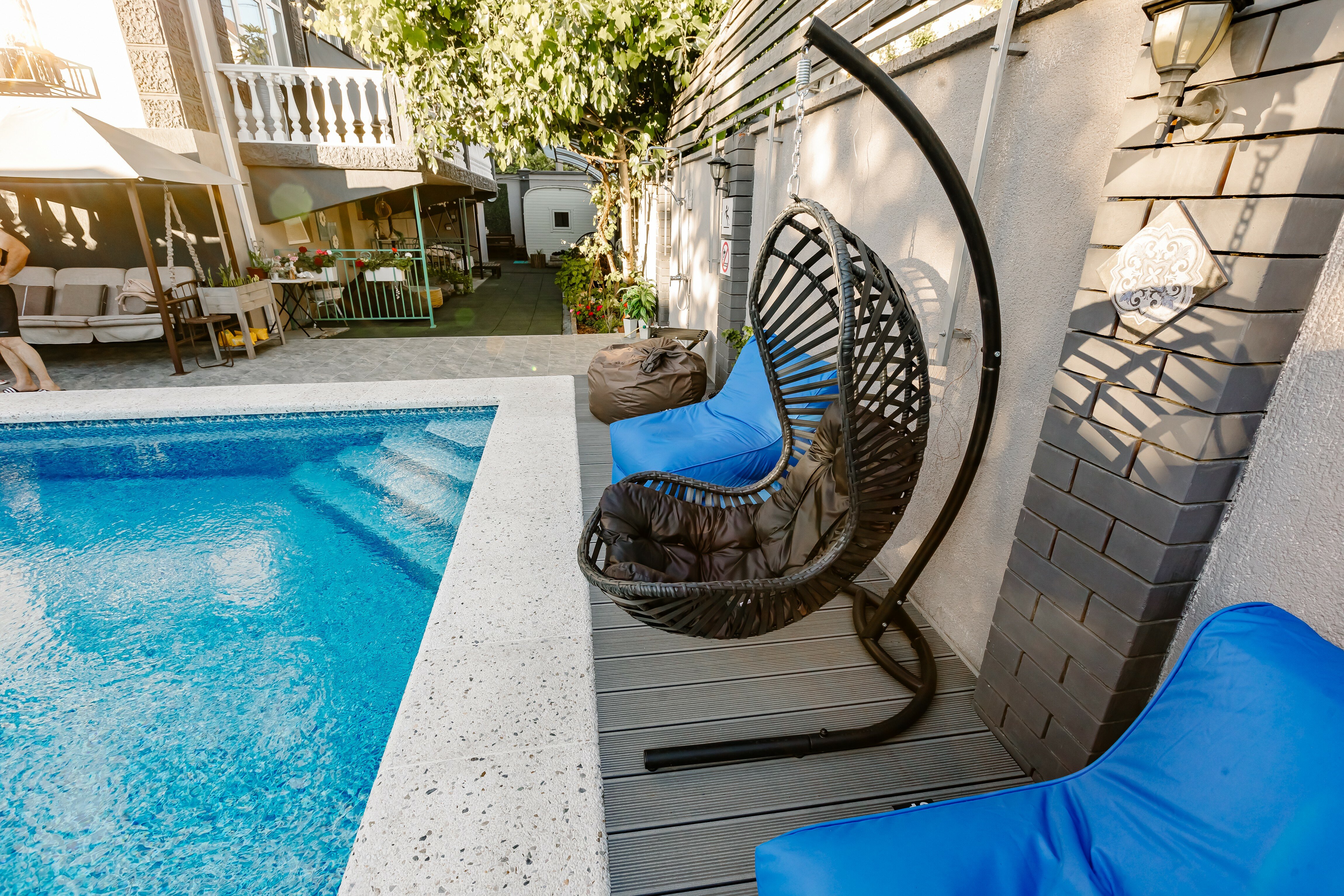 Фото Серый гусь