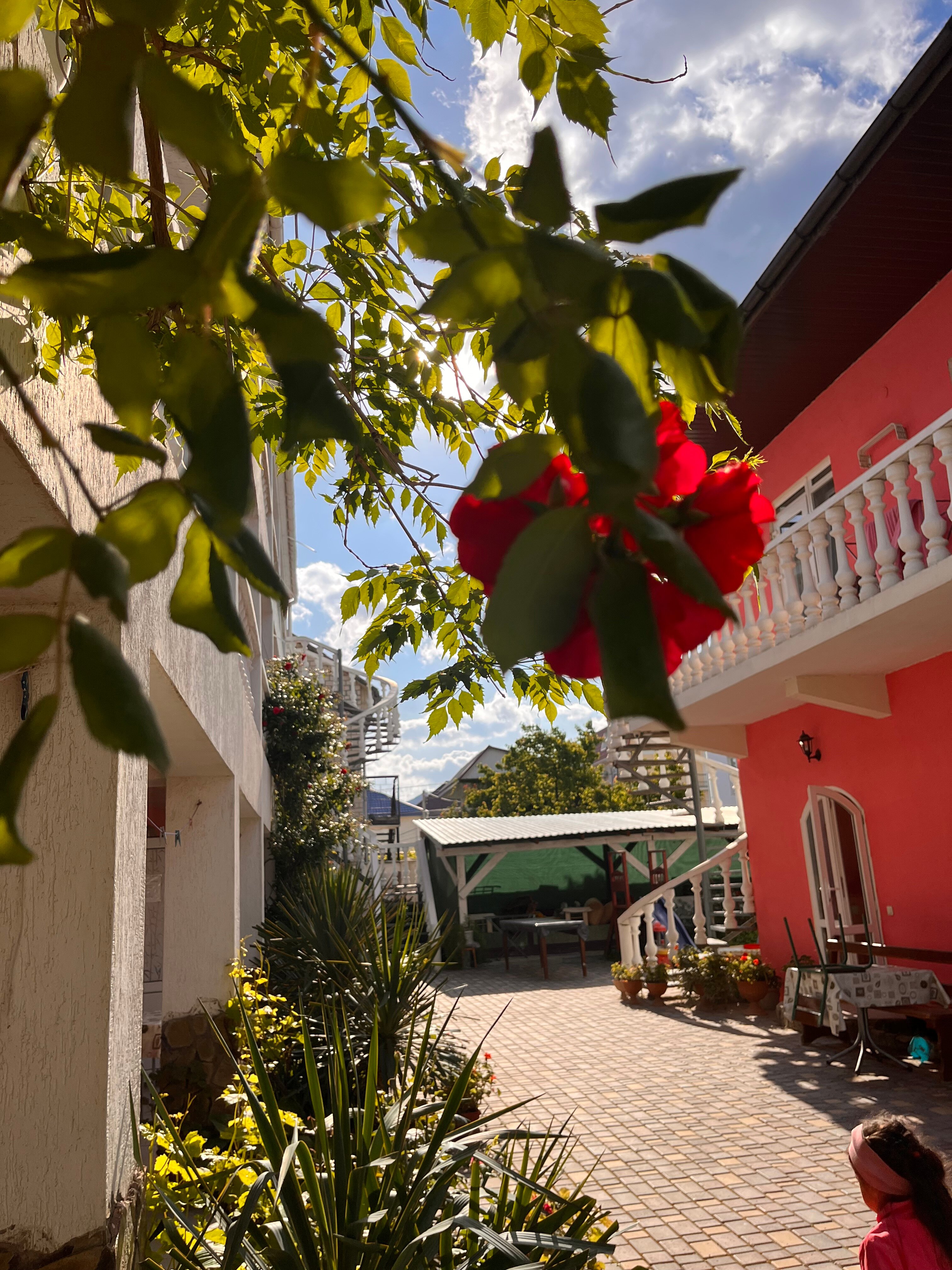 Фото Коралл